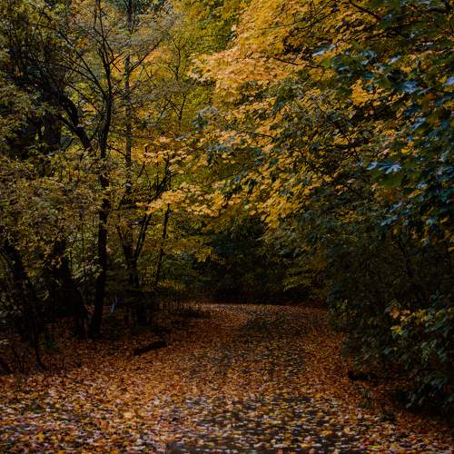 Photo #9599704