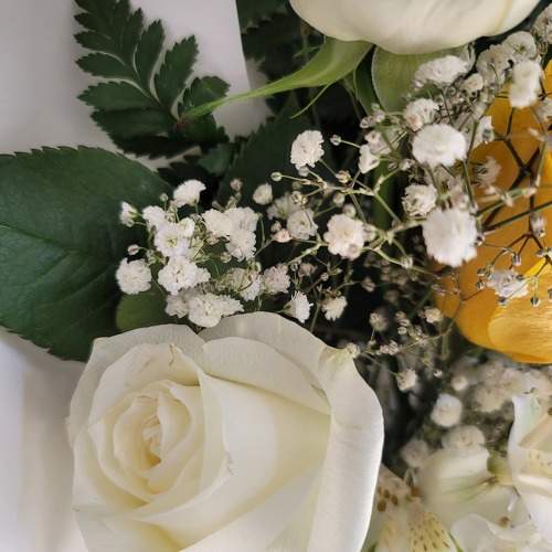 Photo #9599835