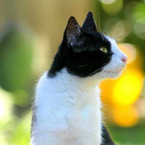 Photo #9599839