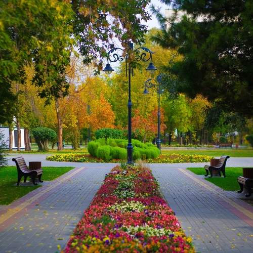Photo #9599891
