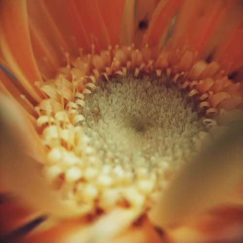 Photo #9599951