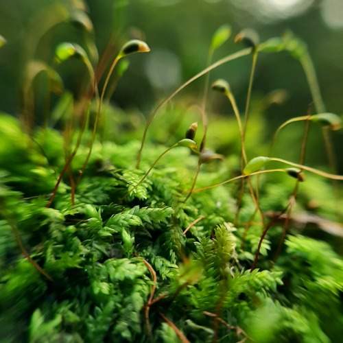 Photo #9599955