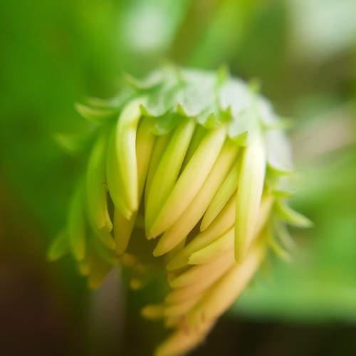 Photo #9599957