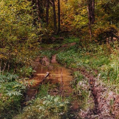Photo #9600042