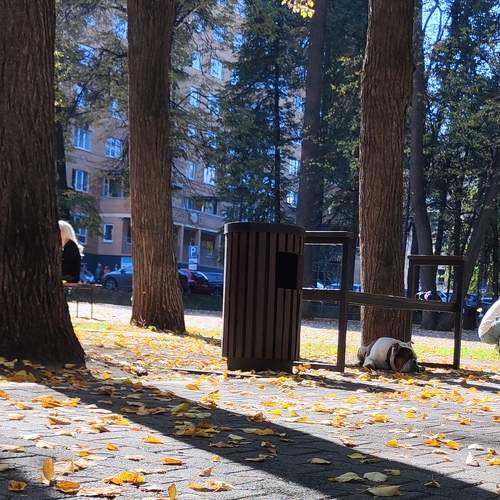 Photo #9600189