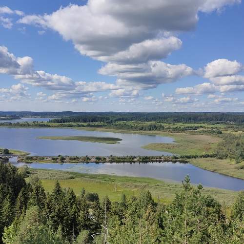 Photo #9600275