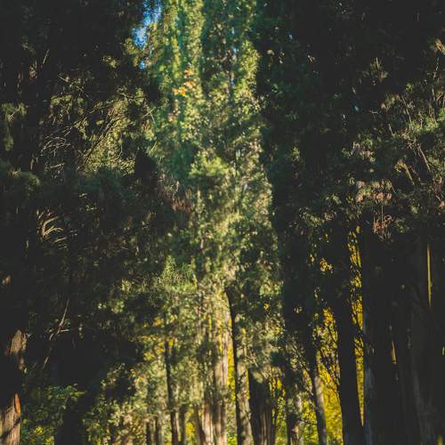 Photo #9601087