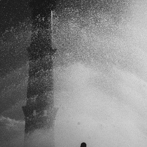 Photo #9601419