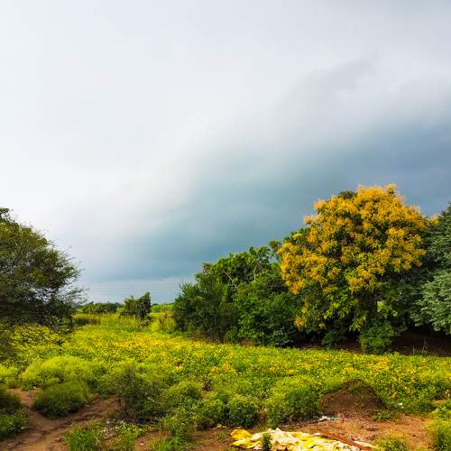 Colors of Nature