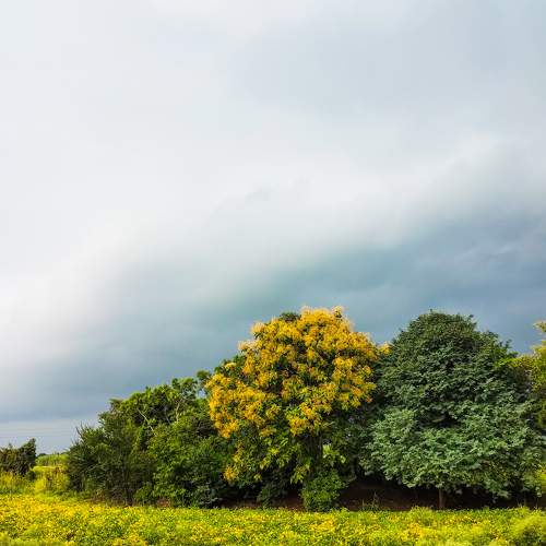 Colorfull nature