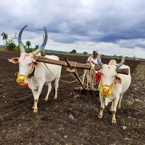 Photo #9601843