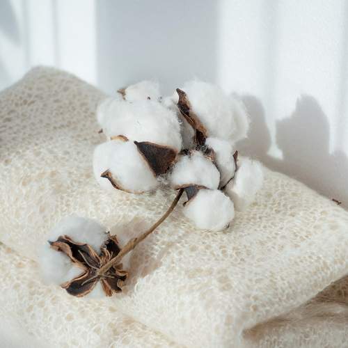 Photo #9601955