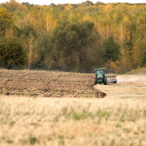 Photo #9602201