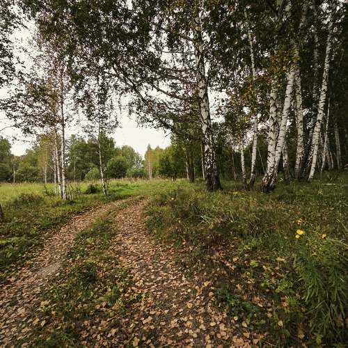 Photo #9602207