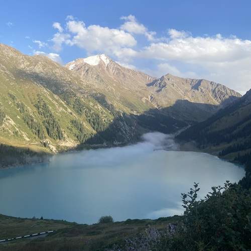 Photo #9602286