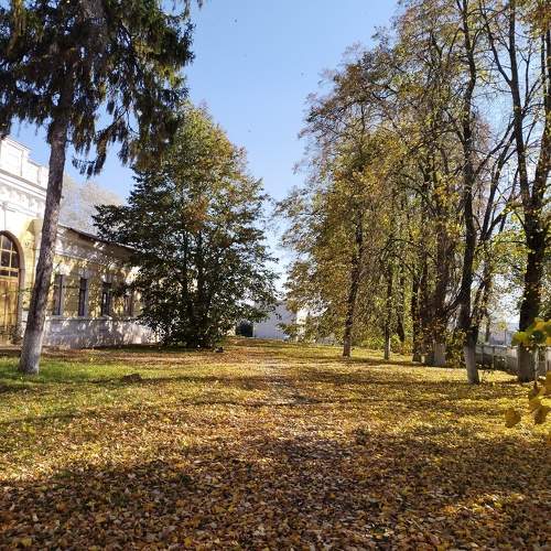 Photo #9602307