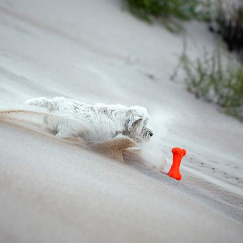 Photo #9602461