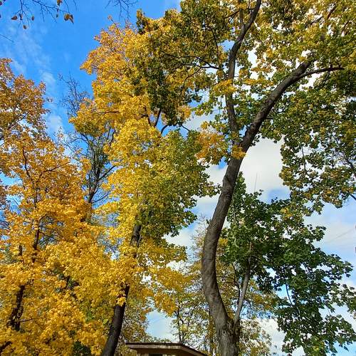 Photo #9602552