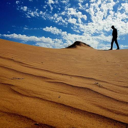 Photo #9602821