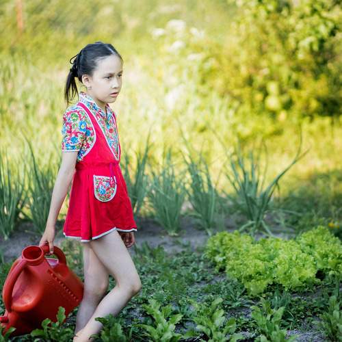 Photo #9602925