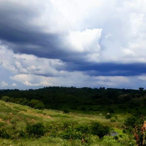Photo #9603161