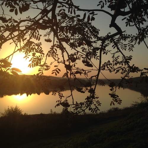 Photo #9603178