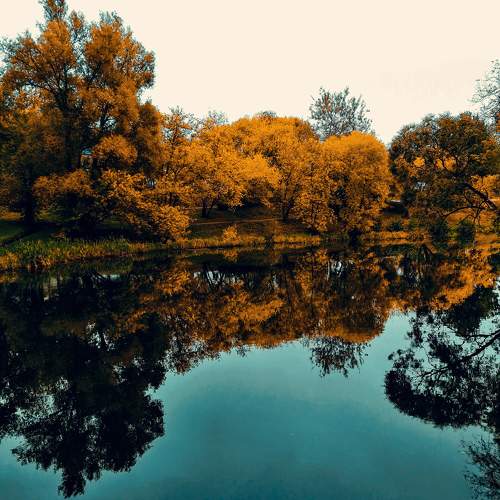 Photo #9603200