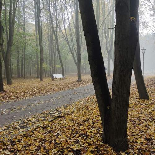Photo #9603504