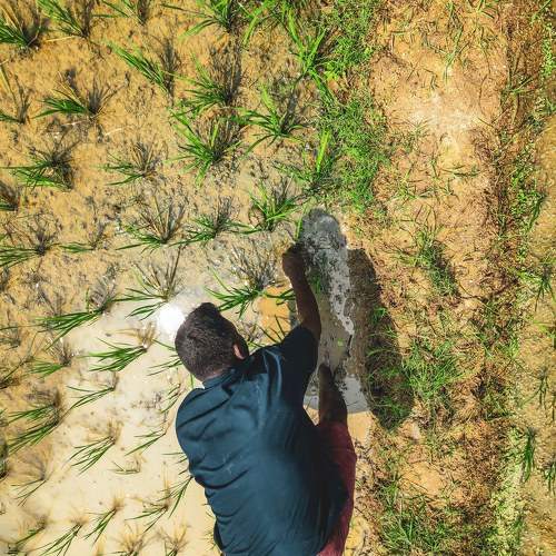 Photo #9603714
