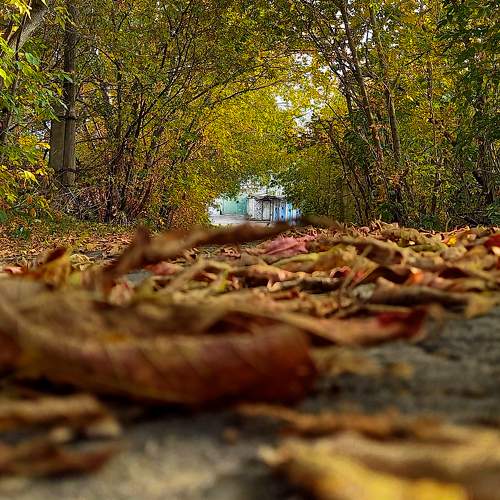 Тунель золота