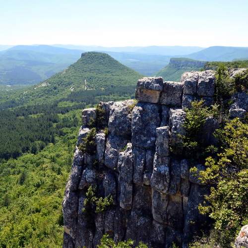 Photo #9603888