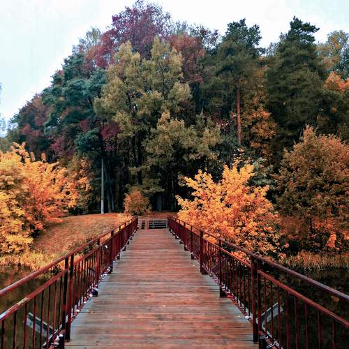 Photo #9603948