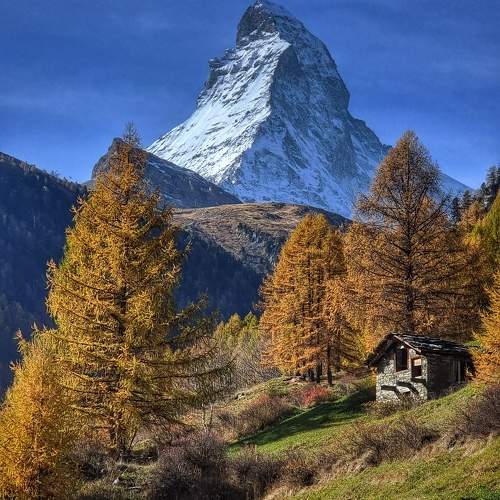 Photo #9603958