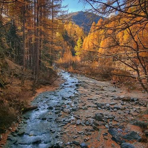 Photo #9603960