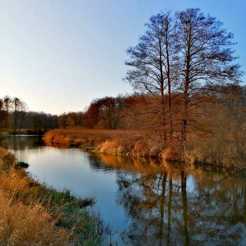 Photo #9603974