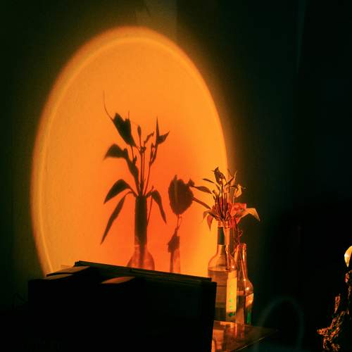 Photo #9604145