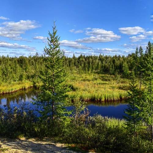 Photo #9604366