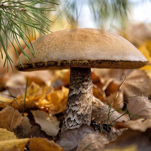 Photo #9604597