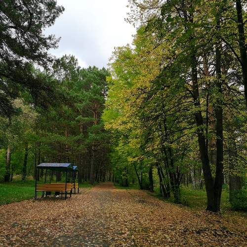 Photo #9605182