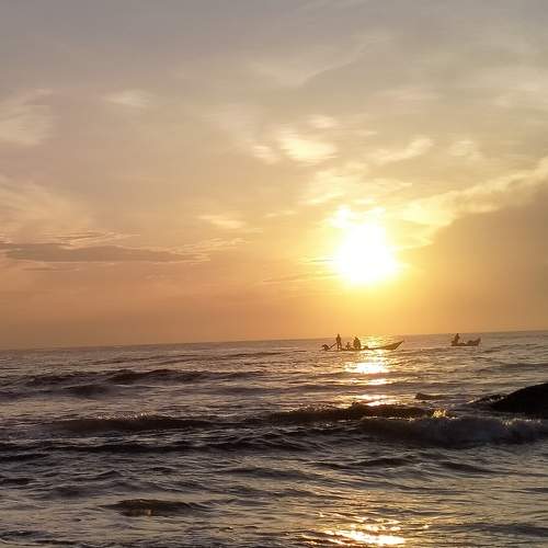 Photo #9605196