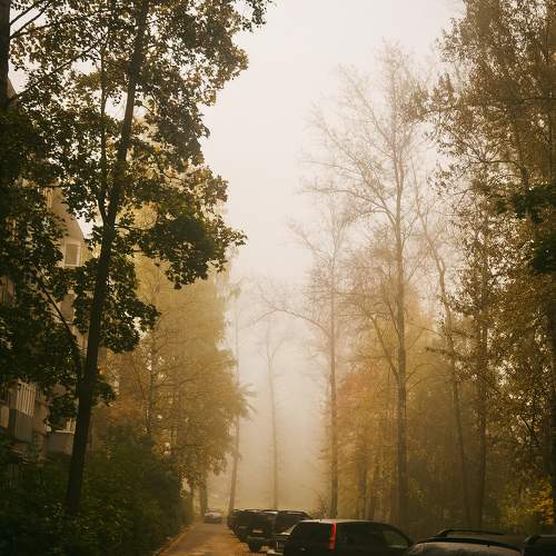 Photo #9605285
