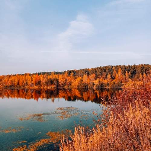Photo #9605360
