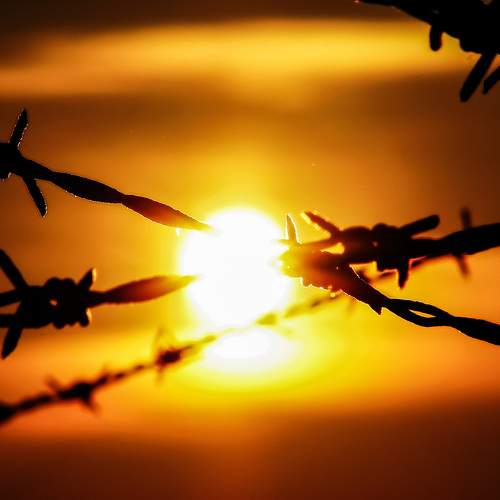Photo #9605575
