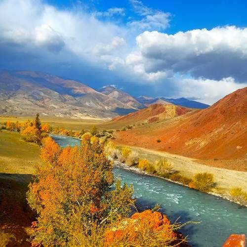 Photo #9605649