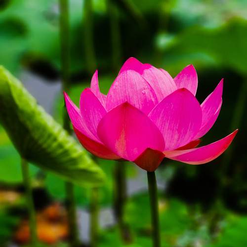 Photo #9605683