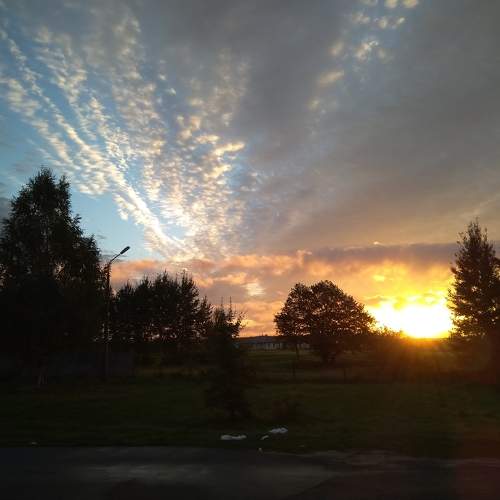 Photo #9605910