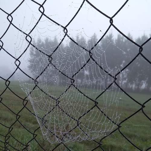 Photo #9605914