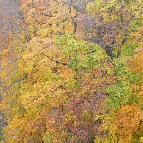 Photo #9606186