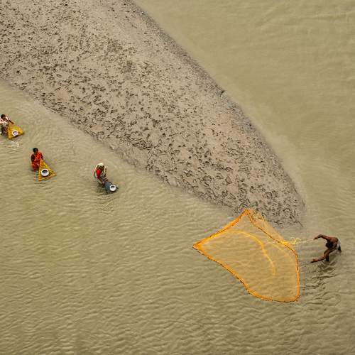 Photo #9606214