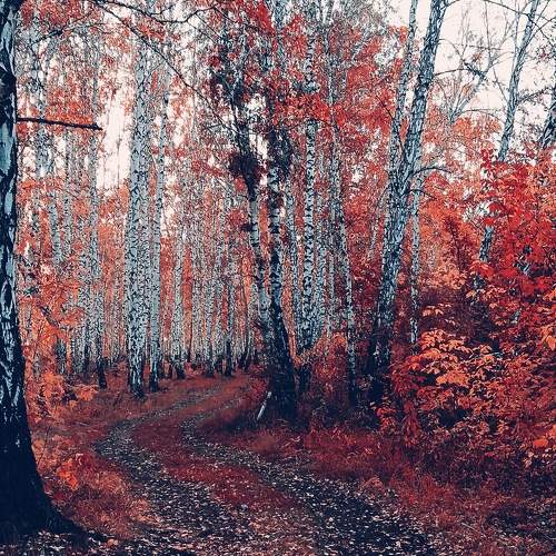 Photo #9606287